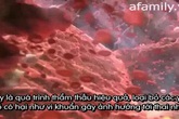 Khám phá chuyện ăn uống của bé ở trong bụng mẹ Khám phá chuyện ăn uống của bé ở trong bụng mẹ